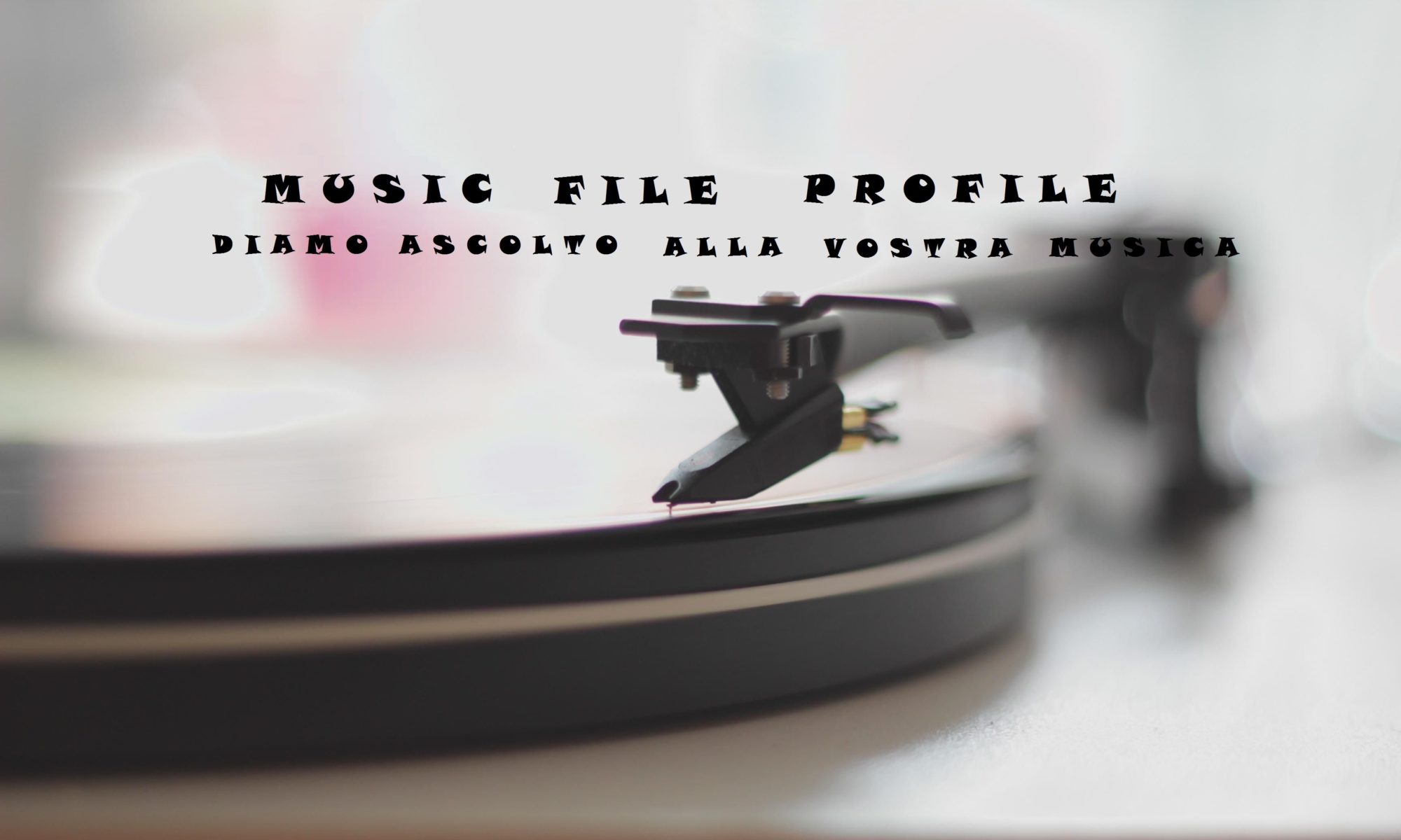 Music File Profile